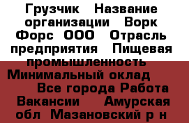 Грузчик › Название организации ­ Ворк Форс, ООО › Отрасль предприятия ­ Пищевая промышленность › Минимальный оклад ­ 25 000 - Все города Работа » Вакансии   . Амурская обл.,Мазановский р-н